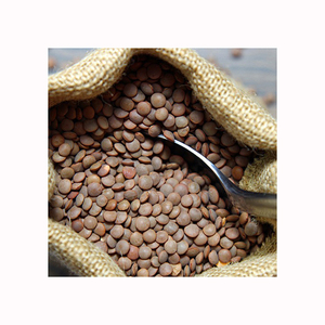 Calidad superior 1 kg Legumbres secas saludables Pulsos Frijoles Lentejas-Lentejas Rojas Lentejas Envasado de alimentos para la venta - Product Image 4