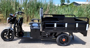 Compre triciclos de carga de bajo mantenimiento - Product Image 5