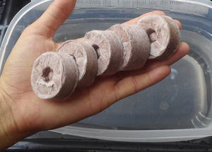 Solución nueva y conveniente para sus plantas, pellets de fibra de coco de 100% Natural Coir, biodegradables, pellets de fibra de coco de exportación Vietnam - Product Image 3