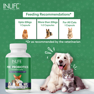 Prebióticos y probióticos para perros, gatos y mascotas, suplemento para la salud intestinal, bacterias Lactobacillus para la salud digestiva - Product Image 5