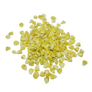 Semillas de Maíz Dulce BCA Premium, Híbrido F1 de Alta Calidad para Agricultura Profesional y Venta al por Mayor desde Indonesia, 6 Meses de Vida Útil - Product Image 1