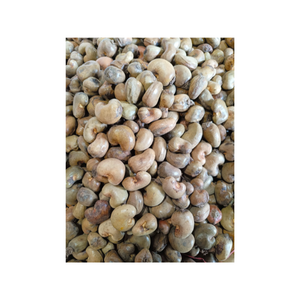 Kacang Mete mentah dari StarLab dipanen langsung dari taman dengan kualitas tinggi dan harga bagus/grosir - Product Image 5