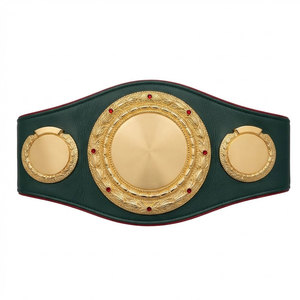 Cinturón de Premio de Lucha Libre Unisex, Personalizado, de Alta Calidad, Profesional, No Tóxico, con Logotipo Central Grande y Decoraciones Laterales Ajustables - Product Image 1