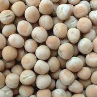 Pois Blancs Premium en Gros – Haute Qualité, Séchés, Non-OGM, Stockage Longue Durée, Emballés pour la Vente en Gros – Produit Naturel Sain