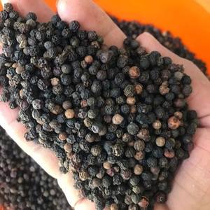 เครื่องเทศสมุนไพรคุณภาพเยี่ยมทั่วโลก550GL 500GL 600GL พริกไทยดำ5มม. ส่งออกสินค้าคุณภาพเยี่ยมจากเวียดนาม - Product Image 6