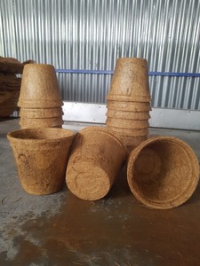 Maceta de coco Biodegradable para plantas, maceta de iniciación de semillas, árbol verde, flor, mantillo de coco, precio barato, a granel, de Vietnam - Product Image 5