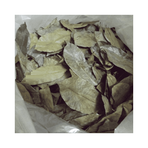 Hoja de Graviola de Guanábana seca, material de hoja secada al sol para servicio de té de restaurante y frascos minoristas, Color consistente de Vietnam - Product Image 3