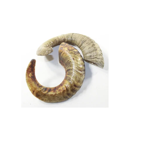 Cuerno de oveja y artículos decorativos y cuerno de carnero natural Cuerno de oveja natural Estilo Shofar Pieza de embalaje - Product Image 6