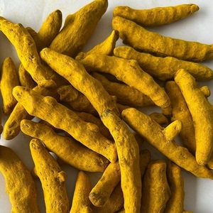 Dedo de cúrcuma de Nizamabad Premium | Cosechado salvaje y pulido doble | Extracto de plantas herbales - Product Image 1