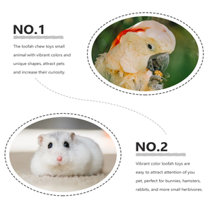 Juguetes de conejo, hámster de madera Natural, conejito, juguetes para masticar, mascota pequeña, conejillo de indias, juguetes, bolas de ratán de hierba - Product Image 5
