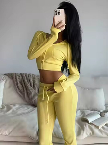 Ensemble de survêtement sport deux pièces pour femme, poids lourd, formel, avec poche, respirant, vêtements de sport, survêtement - Product Image 6