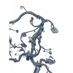 Cablaggio Motore FORD EcoSport Serie JN15-12C508-BE SFJL Benzina 1000 (12>) - Product Image 6