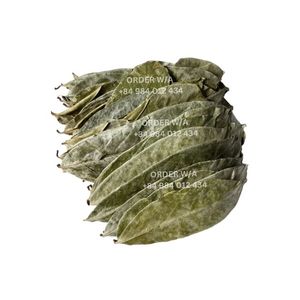 Vente en gros de feuilles de corossol séchées à prix compétitif pour le thé Feuilles de corossol séchées naturelles-Feuilles de corossol séchées biologiques naturelles - Product Image 3