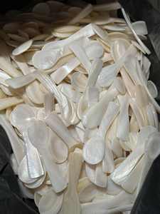 Cuchara de concha ecológica vietnamita para exportación-Cuchara de concha natural Madre perla lista para exportar con grandes cantidades - Product Image 5
