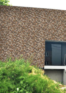 Carreaux muraux en porcelaine 300x600mm, finition extérieure - Product Image 2