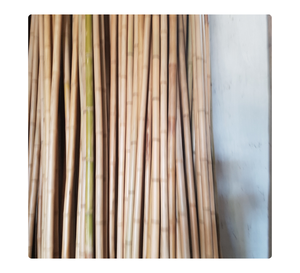 Vietnam Manufacturer of Natural Bamboo <b>Pole</b> Supplying Bamboo <b>Poles</b> <b>for</b> Crop Support and Export - Product Image 2