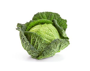 Repollo Verde Fresco de Primera Calidad de la Nueva Cosecha 2024, Estándar de Exportación, Orgánico, Fresco, Tailandés, Crucífero - Product Image 6
