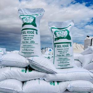 Sac de 25 kg de sel de table iodé |   Sel de mer raffiné en poudre |   Sel de cuisine certifié HACCP de qualité alimentaire, haute pureté - Product Image 1