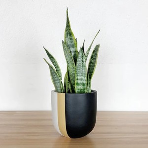 Maceta de Cerámica Contemporánea con Bloques de Color, Duradera, Decorativa para Interiores, Moderna, para el Hogar - Product Image 1