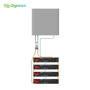Batería de Fosfato de Hierro y Litio Dyness B4850 de 48V 50AH, Batería Lifepo4 de 2.4KWH D0D 95% para Sistemas de Energía Fuera de la Red / Híbridos - Product Image 6