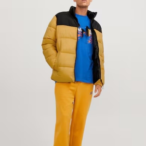 Automne hiver doudoune grande taille manteau en duvet d'oie col debout motif imperméable décoré veste bouffante - Product Image 4