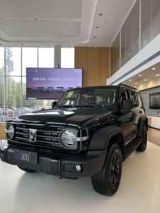 Tank 300 Super Confortable Hi4-T VÉHICULE D'OCCASION Modèle Hybride Nouvelle Énergie Tank 300 Vente au Qatar Voiture 4x4 Principale - Product Image 5