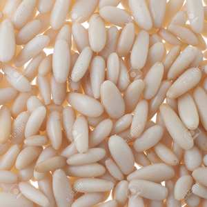 Pignons de pin frais et naturels, récoltés avec soin, emballés pour la vente en gros, de haute qualité, pour en faire des collations et des ingrédients. - Product Image 5