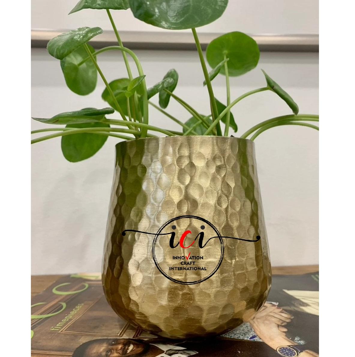 ตามที่แสดง