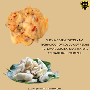 Guanábana Tropical Natural de Vietnam, Guanábana Seca Suave de Sabor Dulce, Suministro a Granel para Compradores B2B - Product Image 3