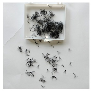 Extensiones de Pestañas de Volumen Completo Hechas a Mano con Pelo Sintético 10D de Entrega Rápida para Uso en Salones de Belleza, Bandeja para Maquillaje Diario Sexy - Product Image 3