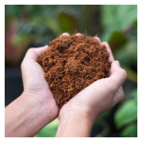 La tourbe de noix de coco pour la plantation est fabriquée à partir de fibre de noix de coco/sol de plantation biologique 5 kg/pcs
