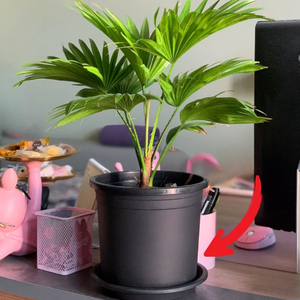 กระถางต้นไม้ PP ขนาดแกลลอน เป็นมิตรกับสิ่งแวดล้อม สำหรับใช้ในร่ม/กลางแจ้ง วางบนพื้น  สีและโลโก้ตามสั่ง ตกแต่งสวนและบ้าน - Product Image 4