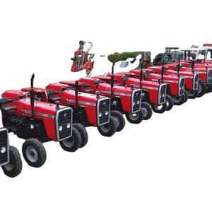 Tractor de orugas MASSEY FERGUSON 290 4WD, 20 HP, usado, motor Quancai, 40001-50000 horas, 800 kg - Product Image 1