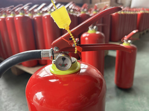 เครื่องดับเพลิงผง ABC แบบพกพา6กก. เป็นที่นิยมในตลาดซาอุดิอาระเบีย - Product Image 5