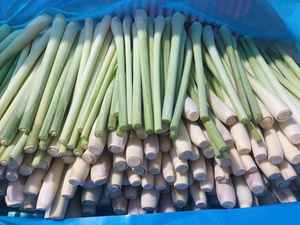 Hoja y tallo de hierba de limón congelados de alta calidad procesados por IQF en Vietnam para una distribución global confiable - Product Image 5