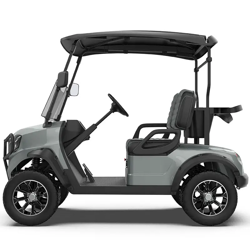 Elektrische Mini Auto 2-zits Golfkar Op Batterijen