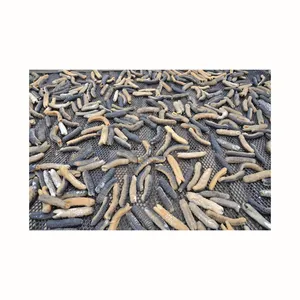 Delicioso pepino de mar seco de alta calidad para belleza pez pepino de mar