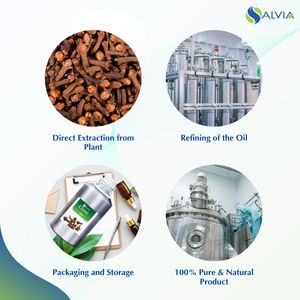 Huile de clou de girofle 100% pure et naturelle, vente en gros, prix le plus bas, emballage personnalisé - Product Image 4