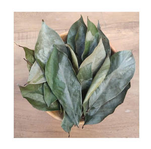 Feuilles de corossol séchées en gros, thé de feuilles de graviola, ingrédient à base de plantes naturel, export en vrac - Product Image 1