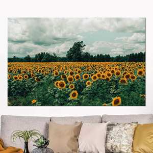 Toile d'art imprimée représentant un champ de tournesols pour une décoration intérieure élégante, 1P : Prête à accrocher - Product Image 1