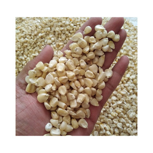 Maíz blanco de bajo precio, ideal para supermercados y minoristas - Product Image 1