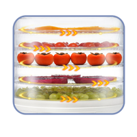 Premium compacte voedseldroger voor fruit, groenten, jerky, zeevruchten en vlees. Keukenapparaat.