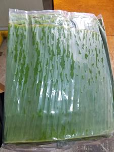LOS PRODUCTOS DE HOJAS DE BANANA CONGELADAS PROCEDENTES DE VIETNAM SON AMBIENTALES Y TIENEN MUCHOS USOS - Product Image 5