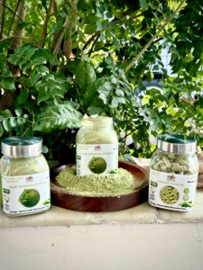 Polvo de Moringa 100% Natural, Probado en Laboratorio, Calidad de Exportación, Certificado GMP, Disponible a Granel - Product Image 4