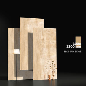 Diseño europeo hermoso patrón Asia azulejos elevación azulejos fabricación en India para Villa Grande de lujo. - Product Image 1