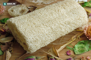 Wholesale <b>Natural</b> Biodegradable Loofah <b>Sponges</b> From Vietnam 99 Gold Data Bulk Prices Skincare Solution - Product Image 5
