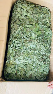 Ingrédient de thé de feuilles de menthe poivrée séchées de qualité supérieure - Product Image 2