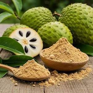 EXPAD Poudre de fruit de corossol lyophilisée naturelle en gros de Ho Chi Minh Ville Vietnam - Product Image 4