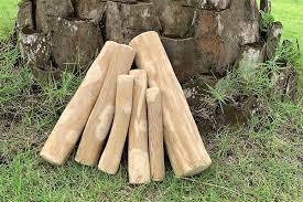 Juguete para masticar de madera de café vietnamita, entretenimiento natural de larga duración para mascotas - Product Image 4