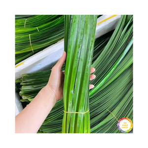 Premium Quality Vietnam 100% Natural Taste Export-Good at Hot Price with IQF Frozen Pandan Leaves Frozen Pandan Leaf - Product Image 4